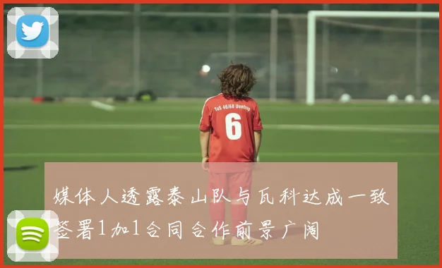 媒体人透露泰山队与瓦科达成一致签署1加1合同合作前景广阔