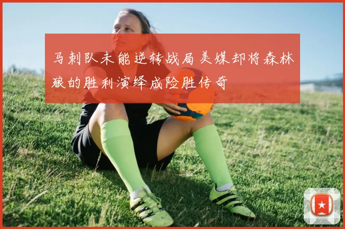 马刺队未能逆转战局美媒却将森林狼的胜利演绎成险胜传奇