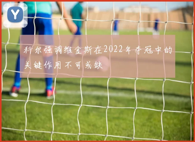 科尔强调维金斯在2022年夺冠中的关键作用不可或缺