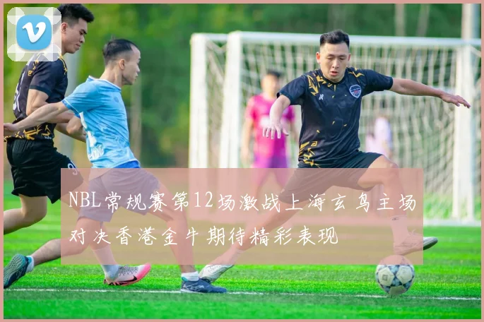 NBL常规赛第12场激战上海玄鸟主场对决香港金牛期待精彩表现